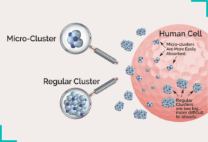 MICRO CLUSTERING